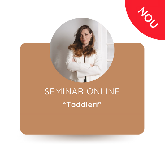 Seminar toddler